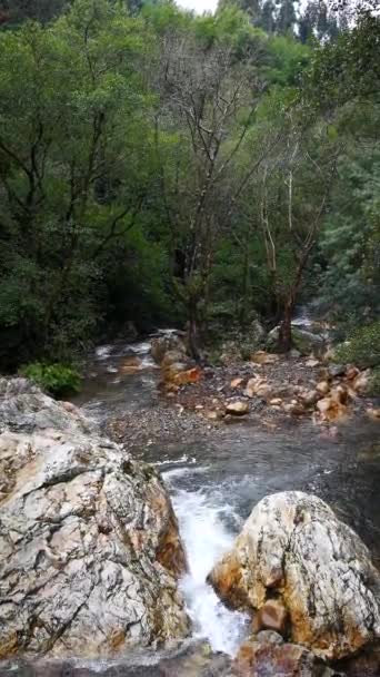 山の中の透明な水の小さな滝 — ストック動画