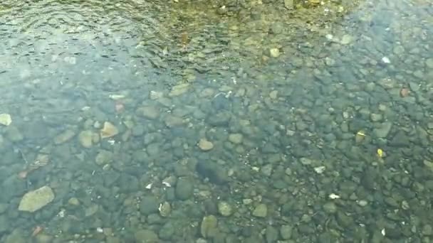 Kis Vízesés Átlátszó Víz Hegy Belsejébe — Stock videók