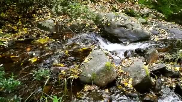 Невеликі Водоспади Прозорої Води Всередині Гори — стокове відео