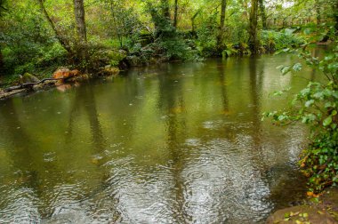 Sakin ve şeffaf su yağmur altında