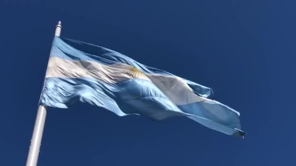 Bandeira Argentina Bandera Argentina — Vídeo de Stock