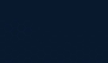 Güvenlik ağ arka plan ile gündoğumu. Vektör çizim.