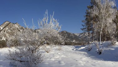 Kış karla kaplı ve soğuk Altai. Altai mavi gözleri