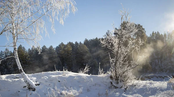 Winterbesneeuwd Ijzig Altai Altai Blauwe Ogen — Stockfoto