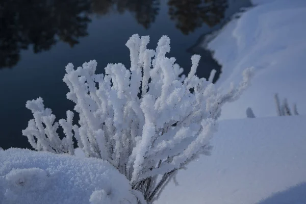 Figuras Fadas Inverno Montanha Altai — Fotografia de Stock