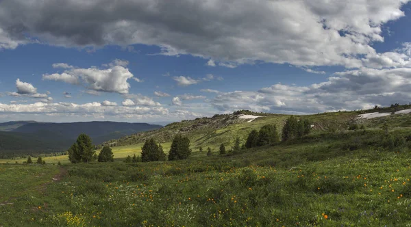 Jízda Alpskými Loukami Altai — Stock fotografie