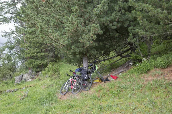 Altay Alp Çayırlarında Bisiklete Binmek — Stok fotoğraf