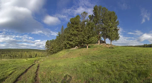 Mountain Altai Solig Sommar — Stockfoto