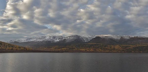 Belles Montagnes Altaï Automne Doré — Photo