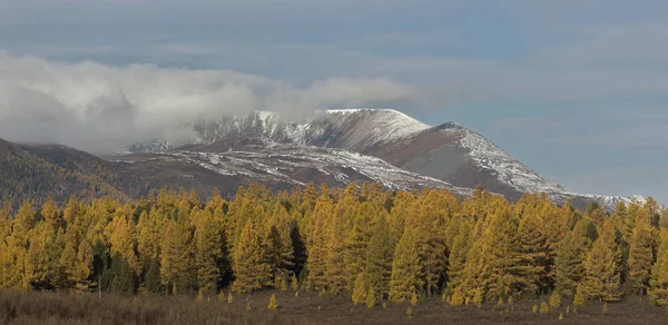 Schöne Altaiberge Goldenen Herbst — Stockfoto