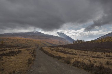 Altın sonbaharda güzel Altay dağları