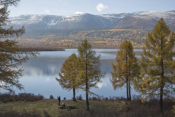 Vackra Altai Mountains Golden Autumn — Stockfoto