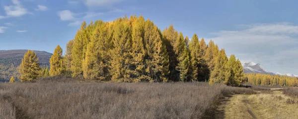 Beautiful Altai Mountains Golden Autumn — Stock Photo, Image