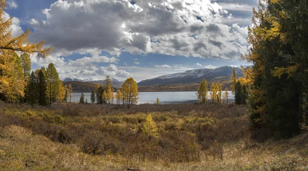Красивые Алтайские Горы Золотой Осенью — стоковое фото