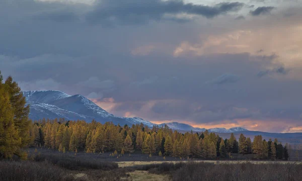 Hermosas Montañas Altai Otoño Dorado — Foto de Stock