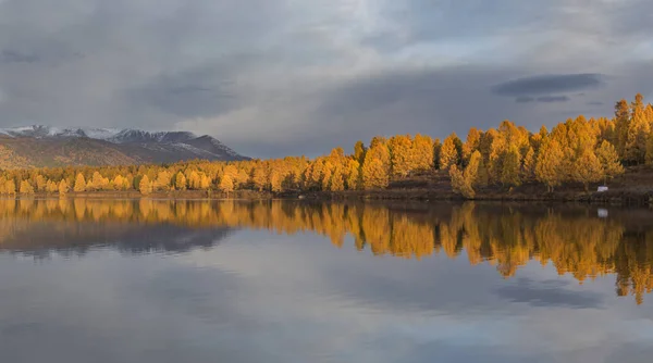 Schöne Altaiberge Goldenen Herbst — Stockfoto