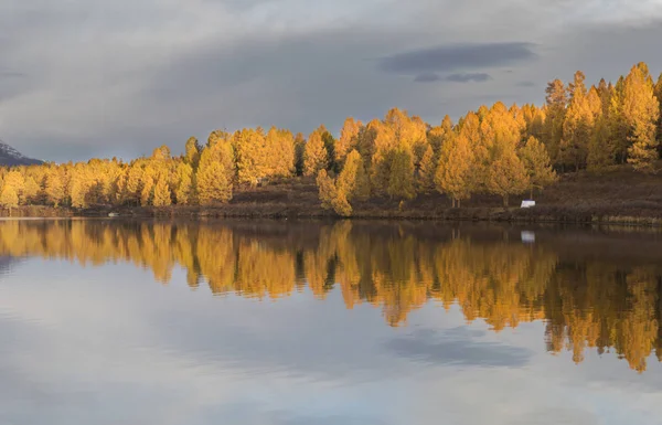 Beautiful Altai Mountains Golden Autumn — Stock Photo, Image