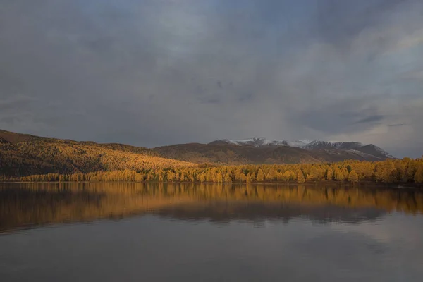 Vackra Altai Mountains Golden Autumn — Stockfoto