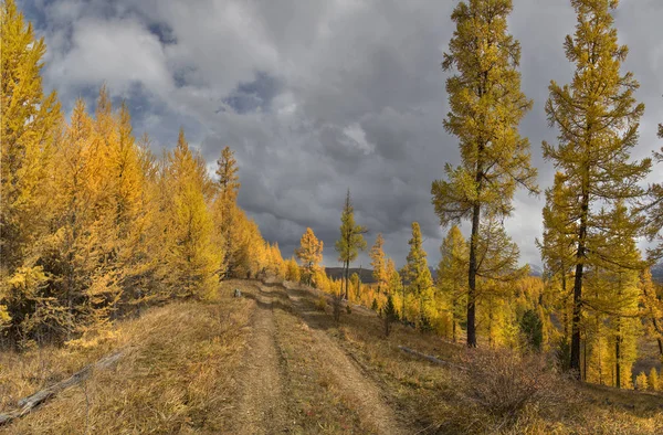 Schöne Altaiberge Goldenen Herbst — Stockfoto