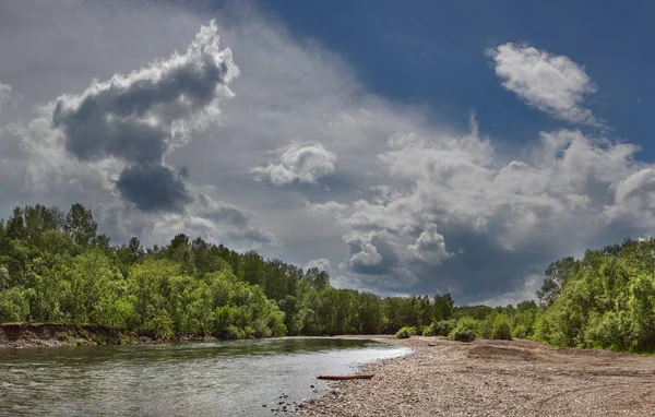 Taiga River Slowly Flows Palms — Stock Photo, Image