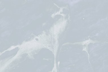 boya ile renkli arka plan doku sıçramalarına