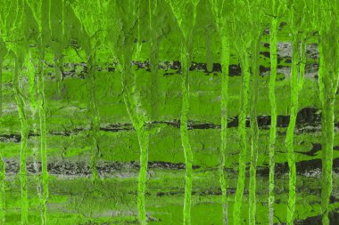 boya ile yeşil arka plan doku sıçramalarına