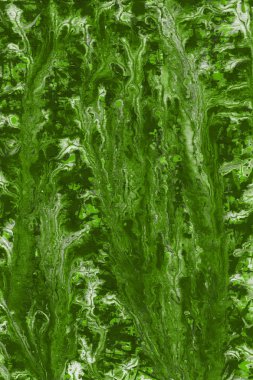 boya ile yeşil arka plan doku sıçramalarına