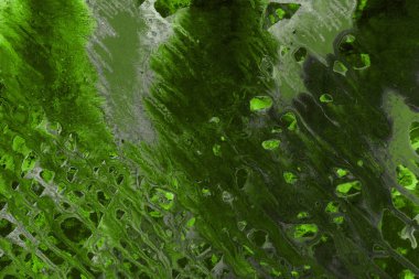 boya ile yeşil arka plan doku sıçramalarına