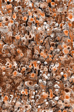 boya ile turuncu arka plan doku sıçramalarına