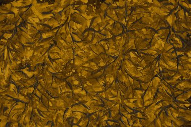 altın arka plan boya ile doku sıçramalarına