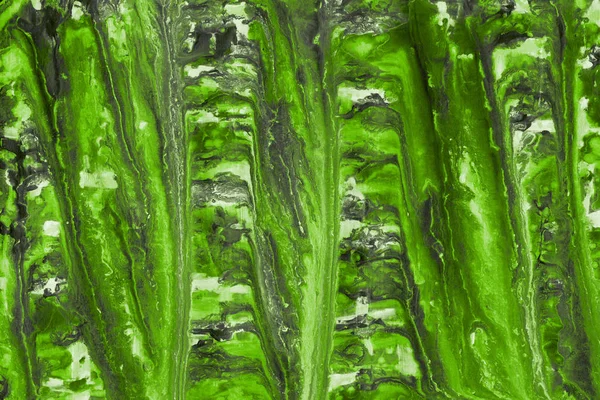 Fundo Abstrato Verde Com Pintura Espirra Textura — Fotografia de Stock
