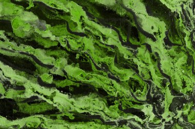 boya ile yeşil arka plan doku sıçramalarına