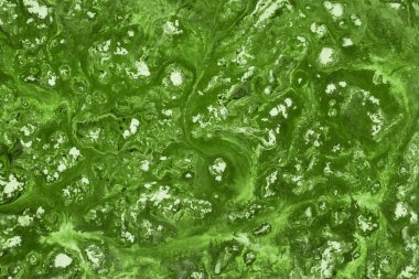 boya ile yeşil arka plan doku sıçramalarına