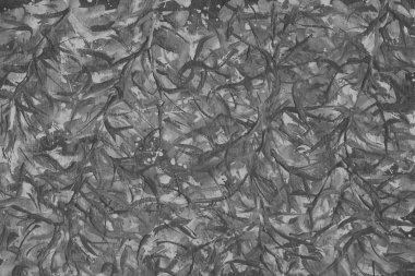 Gümüş arka plan boya ile doku sıçramalarına