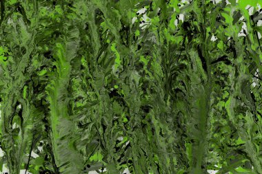 Yeşil soyut boya arka plan tam kare görüntü