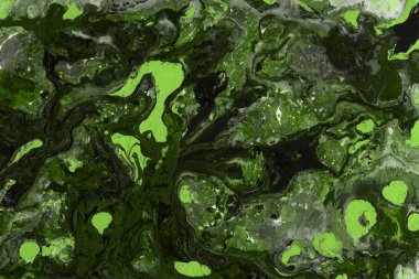 Yeşil soyut boya arka plan tam kare görüntü