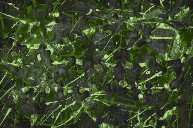 Yeşil soyut boya arka plan tam kare görüntü