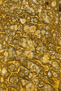 altın arka plan boya ile doku sıçramalarına