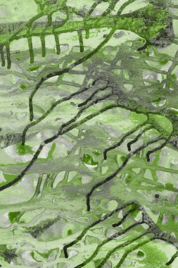 Yeşil soyut boya arka plan tam kare görüntü