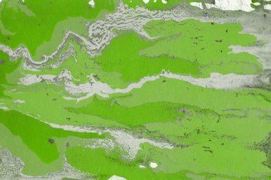 Yeşil soyut boya arka plan tam kare görüntü