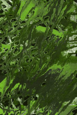 Yeşil soyut boya arka plan tam kare görüntü