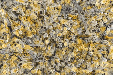 altın arka plan boya ile doku sıçramalarına