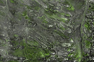 Yeşil soyut boya arka plan tam kare görüntü