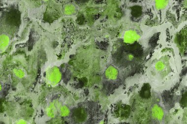 Yeşil soyut boya arka plan tam kare görüntü