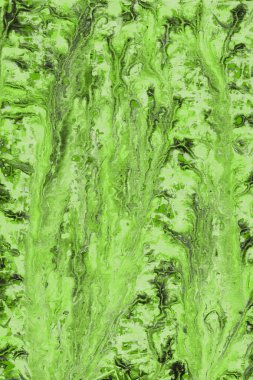 Yeşil soyut boya arka plan tam kare görüntü