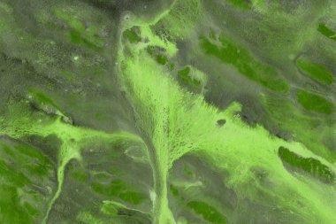 Yeşil soyut boya arka plan tam kare görüntü