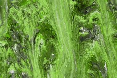 Yeşil soyut boya arka plan tam kare görüntü