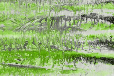 Yeşil soyut boya arka plan tam kare görüntü