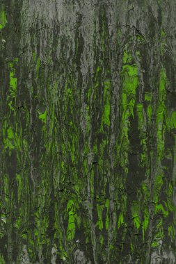 Yeşil soyut boya arka plan tam kare görüntü