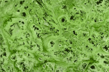 Yeşil soyut boya arka plan tam kare görüntü